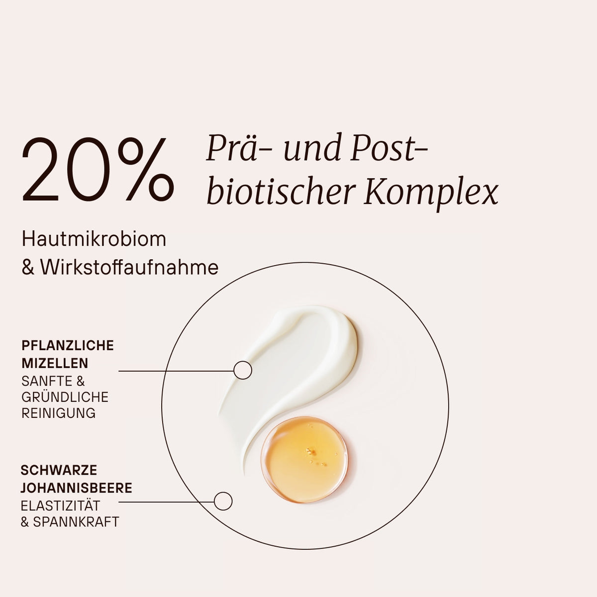 Fermented Gentle Cleansing Foam