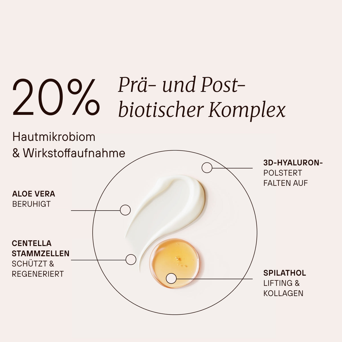 Sérum liftant fermenté