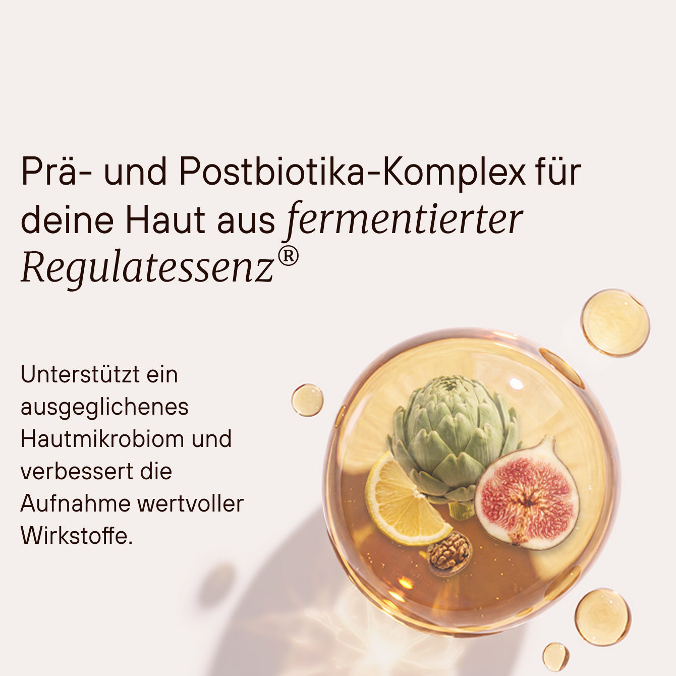 Fermented Skincare Starter Set