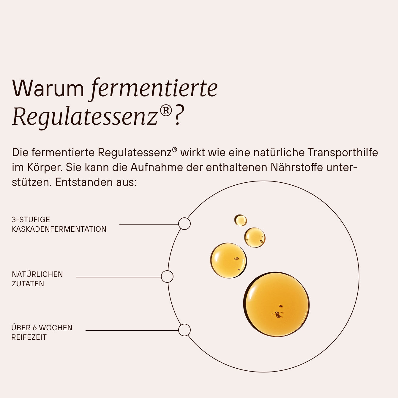 Dr. Niedermaier Beauty Drink Collagène