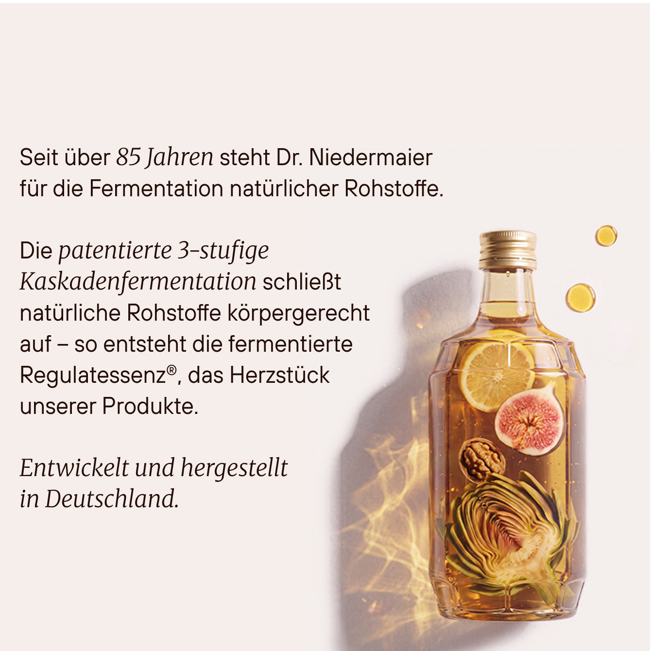 Dr. Niedermaier Beauty Drink Collagène