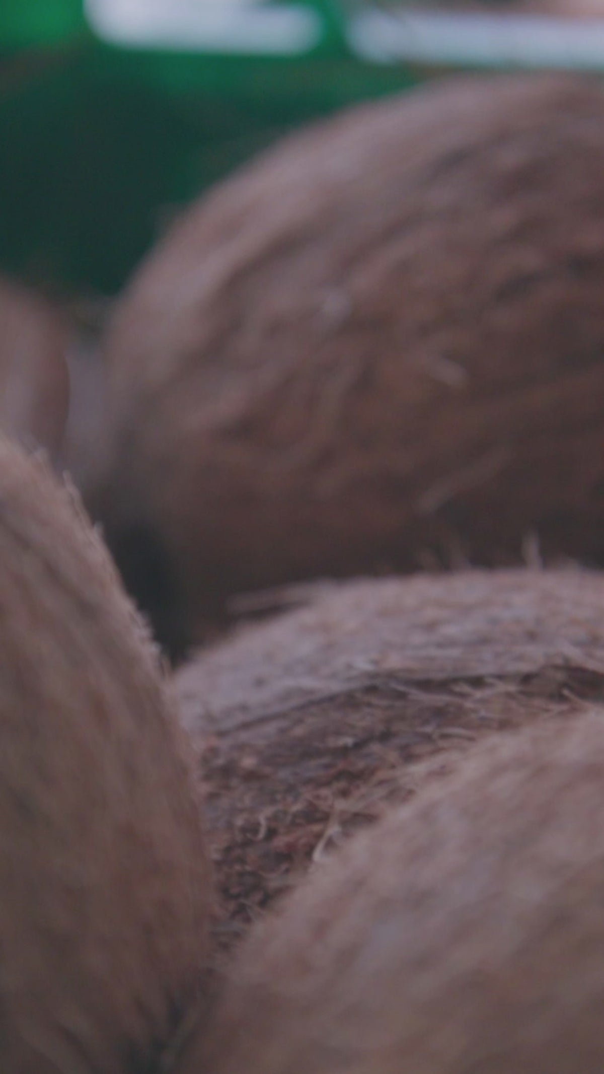 Video laden: {&quot;default&quot; =&gt; &quot;&quot;}